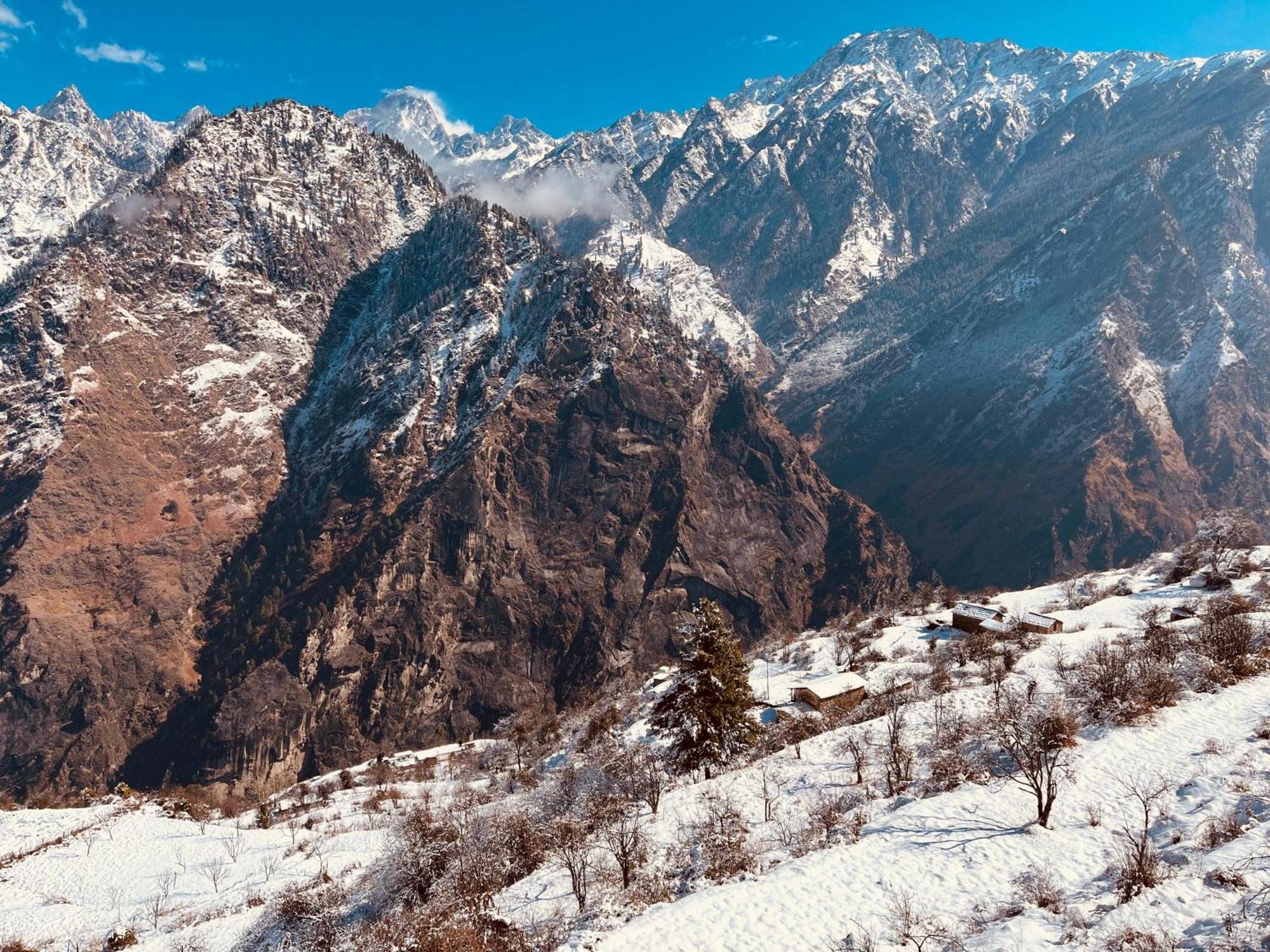 Faraway Cottages, Auli Joshīmath 外观 照片