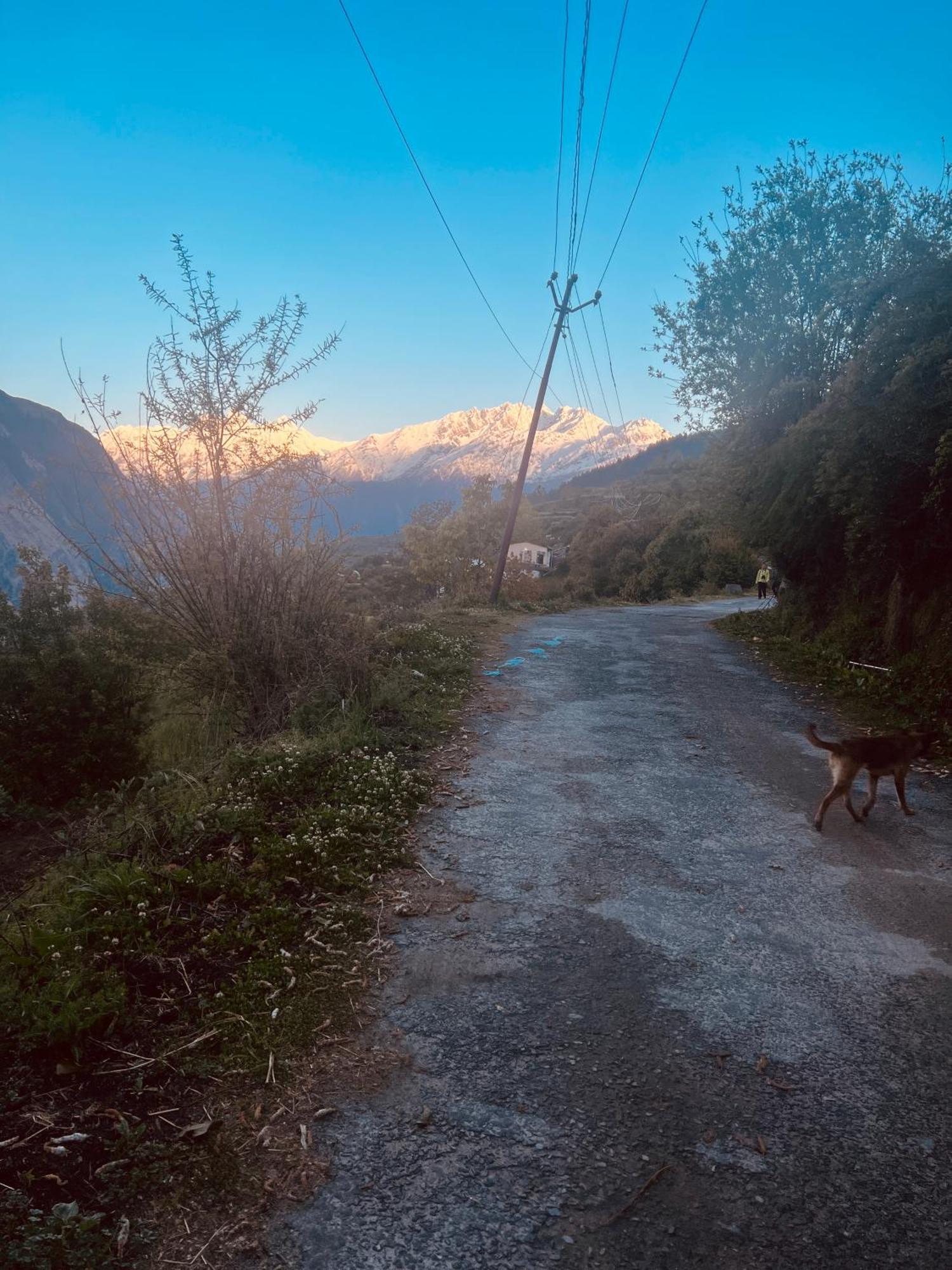 Faraway Cottages, Auli Joshīmath 外观 照片