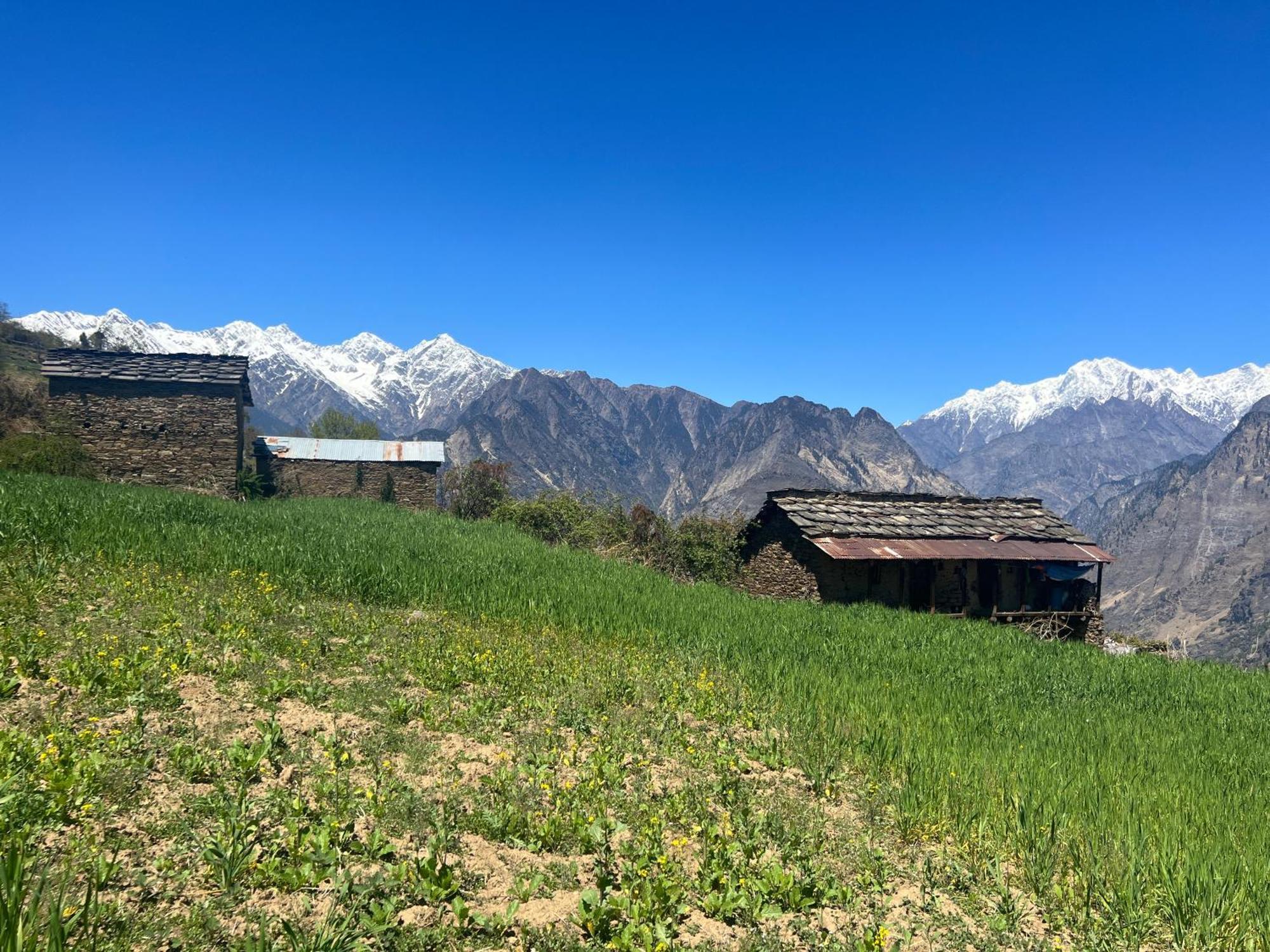 Faraway Cottages, Auli Joshīmath 外观 照片