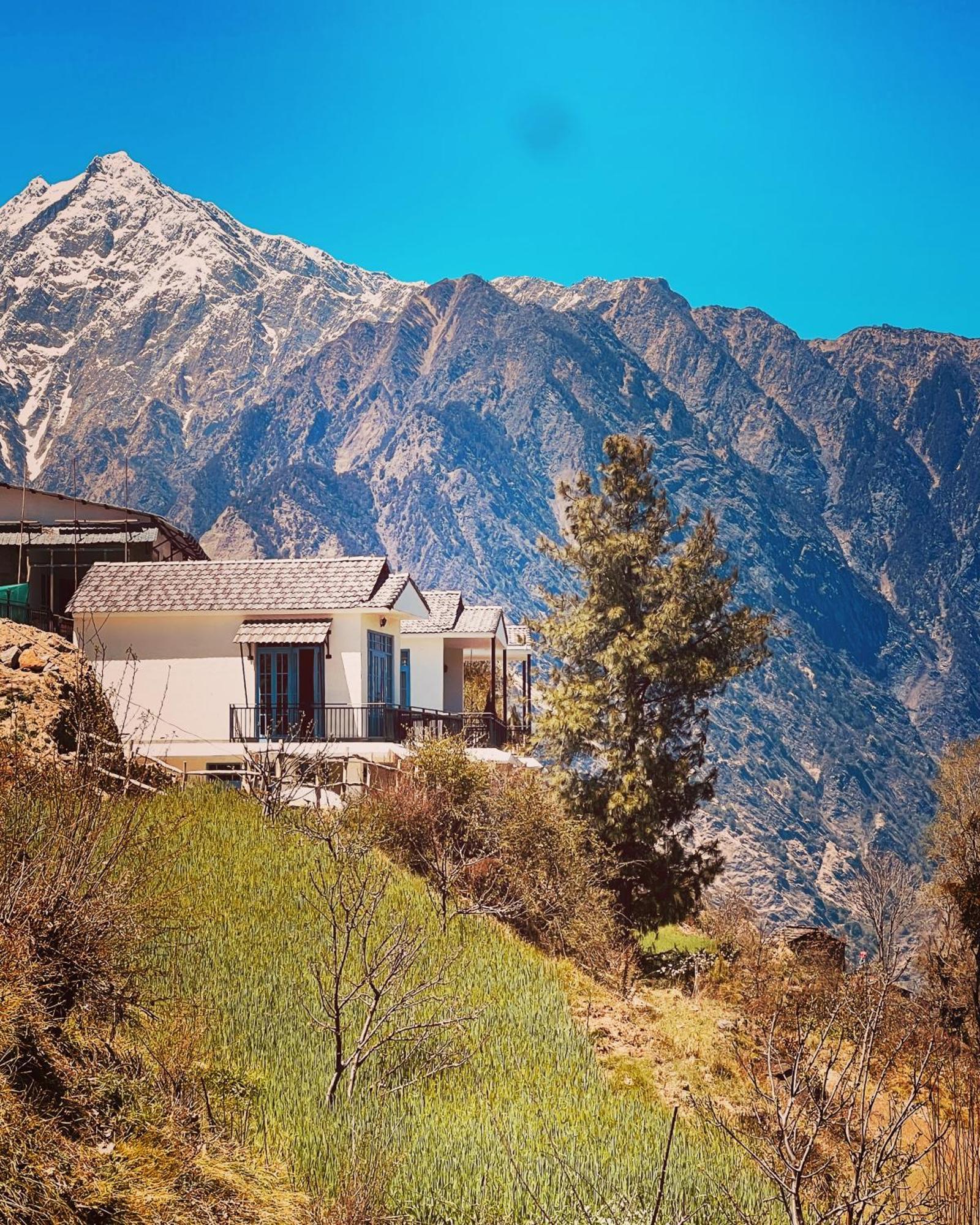 Faraway Cottages, Auli Joshīmath 外观 照片