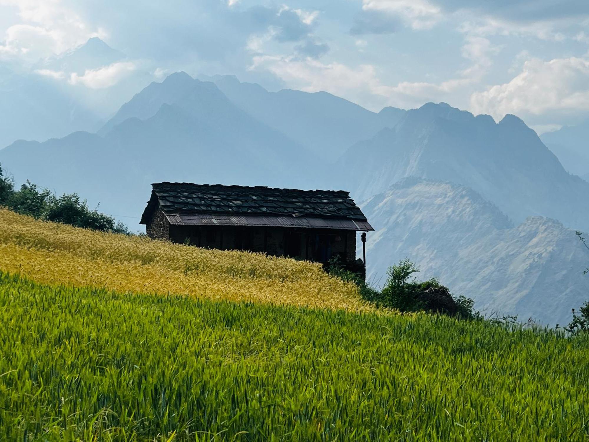 Faraway Cottages, Auli Joshīmath 外观 照片